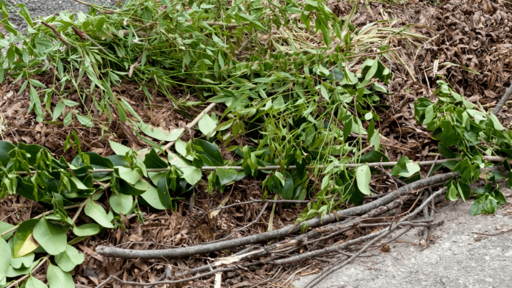 yard waste removal Glencoe IL